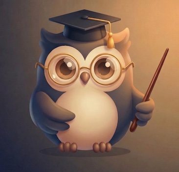 Owllo Teacher